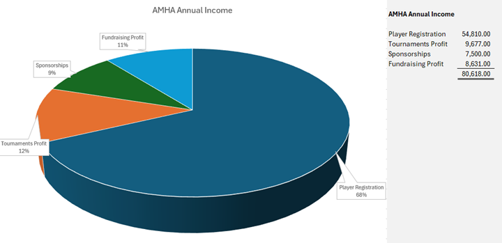 AMHA_Annual_Income.png